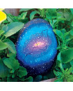 Zap Exra Paint Your Own Galaxy Rocks Box-Set 